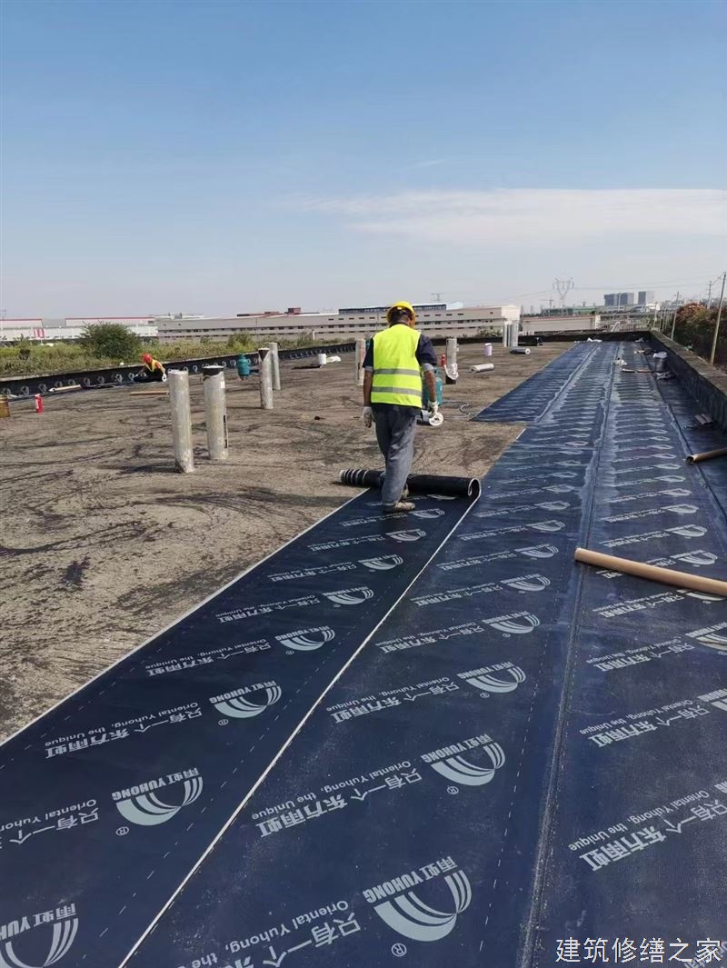 肇庆2026端州区 厂房屋面防水 有没有正规资质